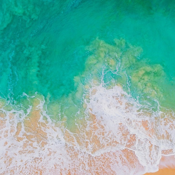 Meet your Posher, Markos - Picture 1 of 1